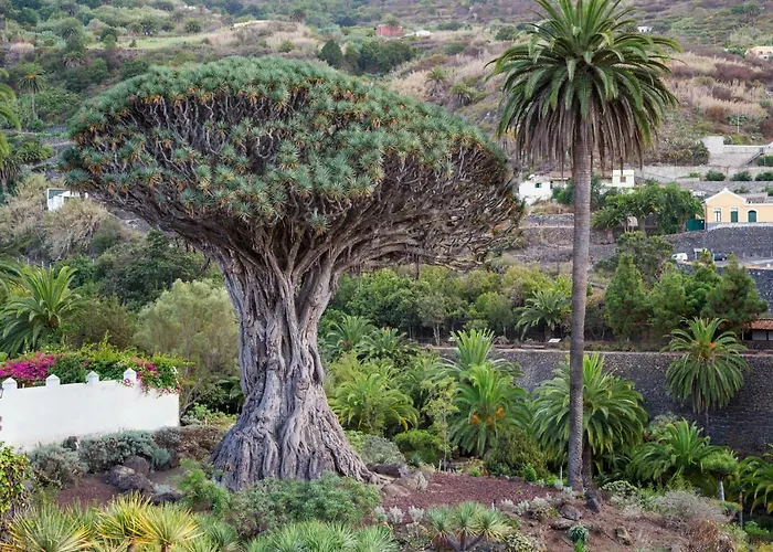 Apartment Superior H - Ad Alberto Dorner